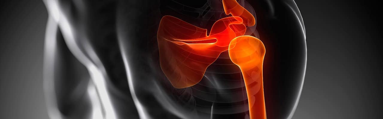 Articulos medicina & kinesiología VIDA